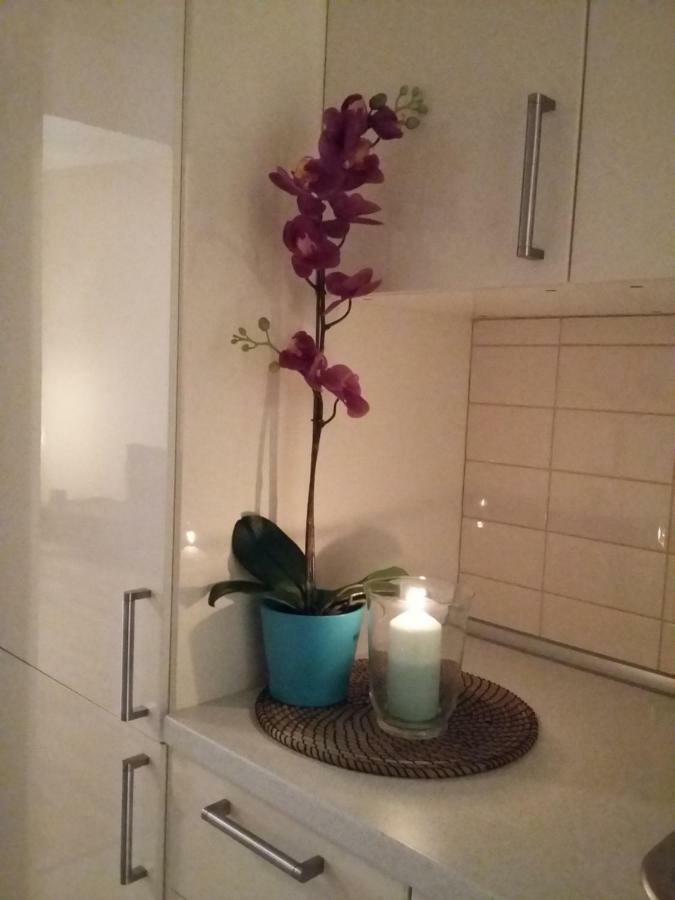 Angel Apartment Nr 4 Near To The Center 프라하 외부 사진